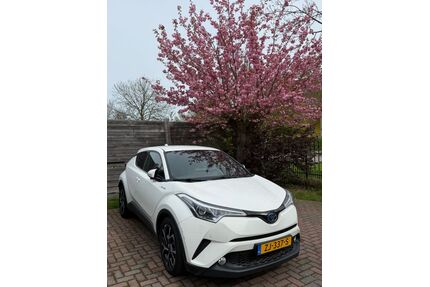 Toyota C-HR Gebrauchtwagen
