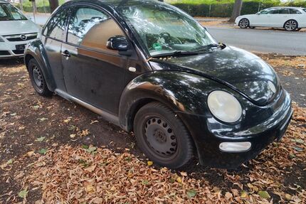 VW Beetle Gebrauchtwagen