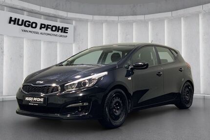 Kia ceed / Ceed Gebrauchtwagen
