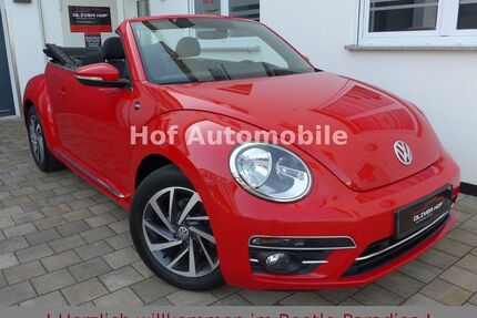 VW Beetle Gebrauchtwagen