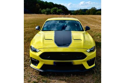 Ford Mustang Gebrauchtwagen