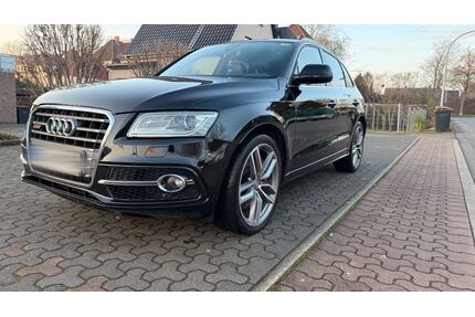Audi SQ5 Gebrauchtwagen
