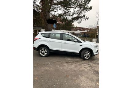 Ford Kuga Gebrauchtwagen