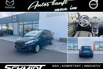 Ford Fiesta Gebrauchtwagen