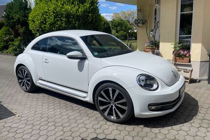 VW Beetle Gebrauchtwagen