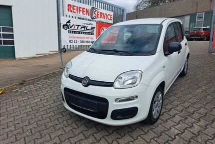 Fiat Panda Gebrauchtwagen