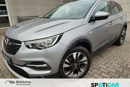Opel Grandland (X) Gebrauchtwagen