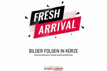 Ford EcoSport Gebrauchtwagen