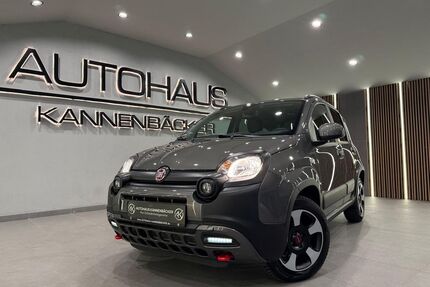 Fiat Panda Gebrauchtwagen