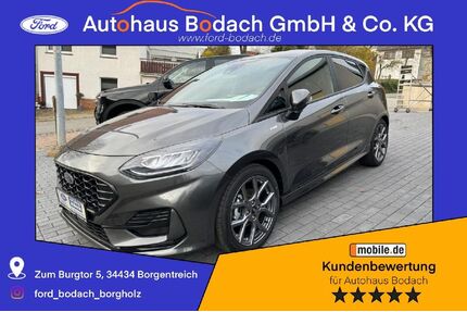 Ford Fiesta Gebrauchtwagen