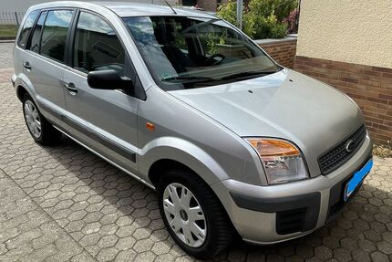 Ford Fusion Gebrauchtwagen
