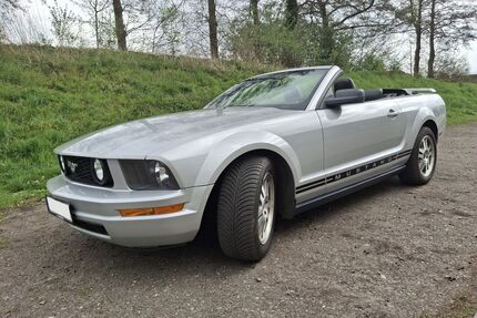 Ford Mustang Gebrauchtwagen