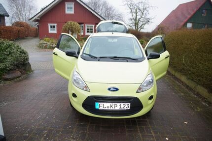 Ford Ka/Ka+ Gebrauchtwagen