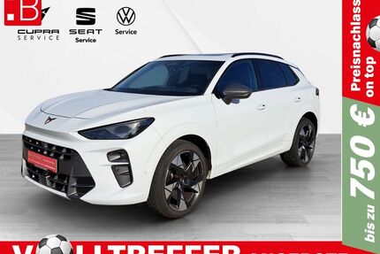 Cupra Terramar Gebrauchtwagen