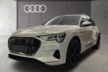 Audi Q8 e-tron Gebrauchtwagen