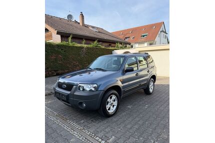 Ford Maverick Gebrauchtwagen