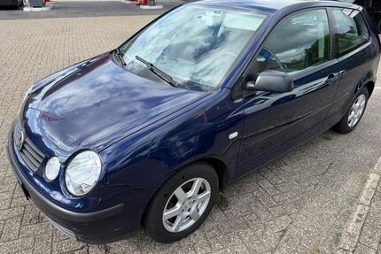 VW Polo Gebrauchtwagen