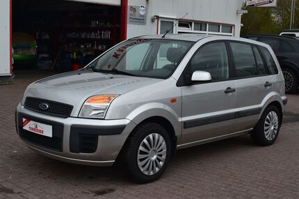 Ford Fusion Gebrauchtwagen