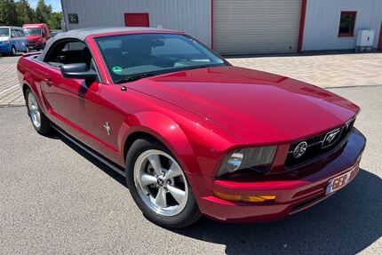 Ford Mustang Gebrauchtwagen