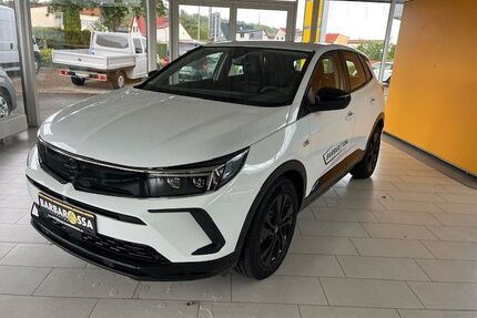 Opel Grandland (X) Gebrauchtwagen