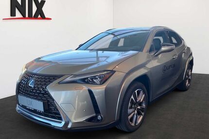 Lexus UX Gebrauchtwagen