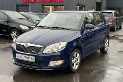 Skoda Fabia Gebrauchtwagen