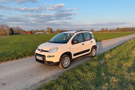 Fiat Panda Gebrauchtwagen