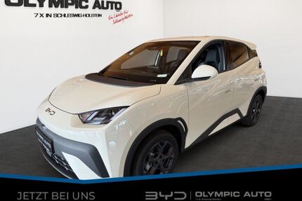 BYD DOLPHIN Gebrauchtwagen