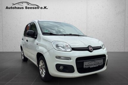 Fiat Panda Gebrauchtwagen