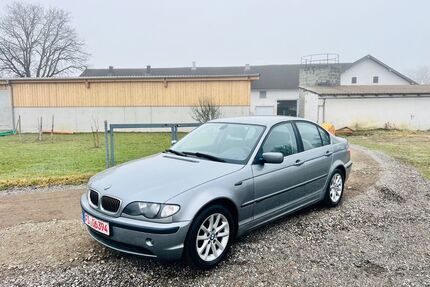 BMW 316 Gebrauchtwagen