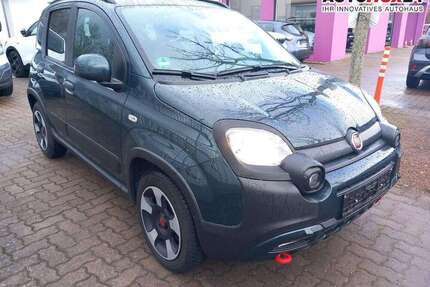 Fiat Panda Gebrauchtwagen