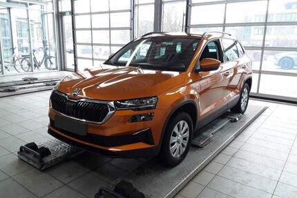 Skoda Karoq Gebrauchtwagen