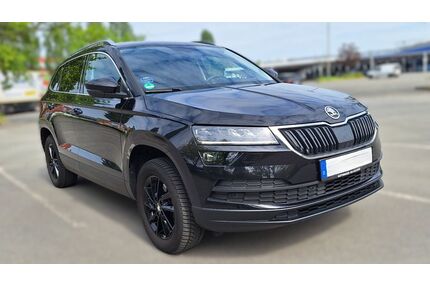 Skoda Karoq Gebrauchtwagen