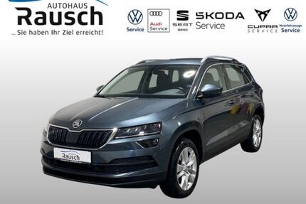 Skoda Karoq Gebrauchtwagen