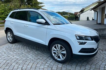 Skoda Karoq Gebrauchtwagen