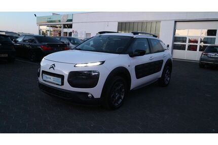 Citroen C4 Cactus Gebrauchtwagen