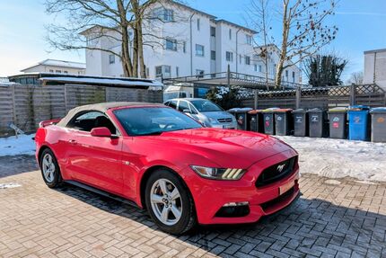 Ford Mustang Gebrauchtwagen