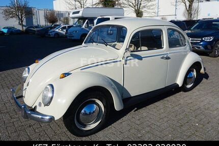 VW Käfer Gebrauchtwagen