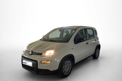 Fiat Panda Gebrauchtwagen