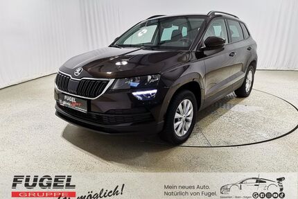Skoda Karoq Gebrauchtwagen