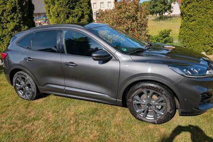 Ford Kuga Gebrauchtwagen