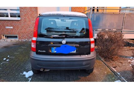 Fiat Panda Gebrauchtwagen