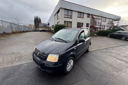 Fiat New Panda Gebrauchtwagen