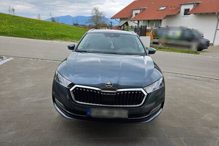 Skoda Octavia Gebrauchtwagen
