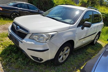 Subaru Forester Gebrauchtwagen