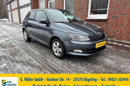 Skoda Fabia Gebrauchtwagen