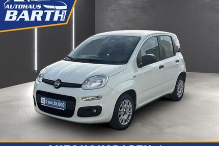 Fiat Panda Gebrauchtwagen