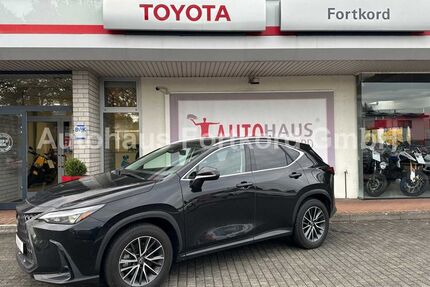 Lexus NX 350h Gebrauchtwagen