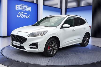 Ford Kuga Gebrauchtwagen
