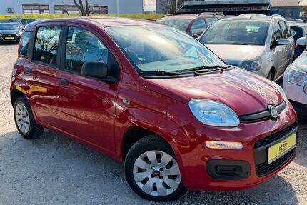 Fiat Panda Gebrauchtwagen